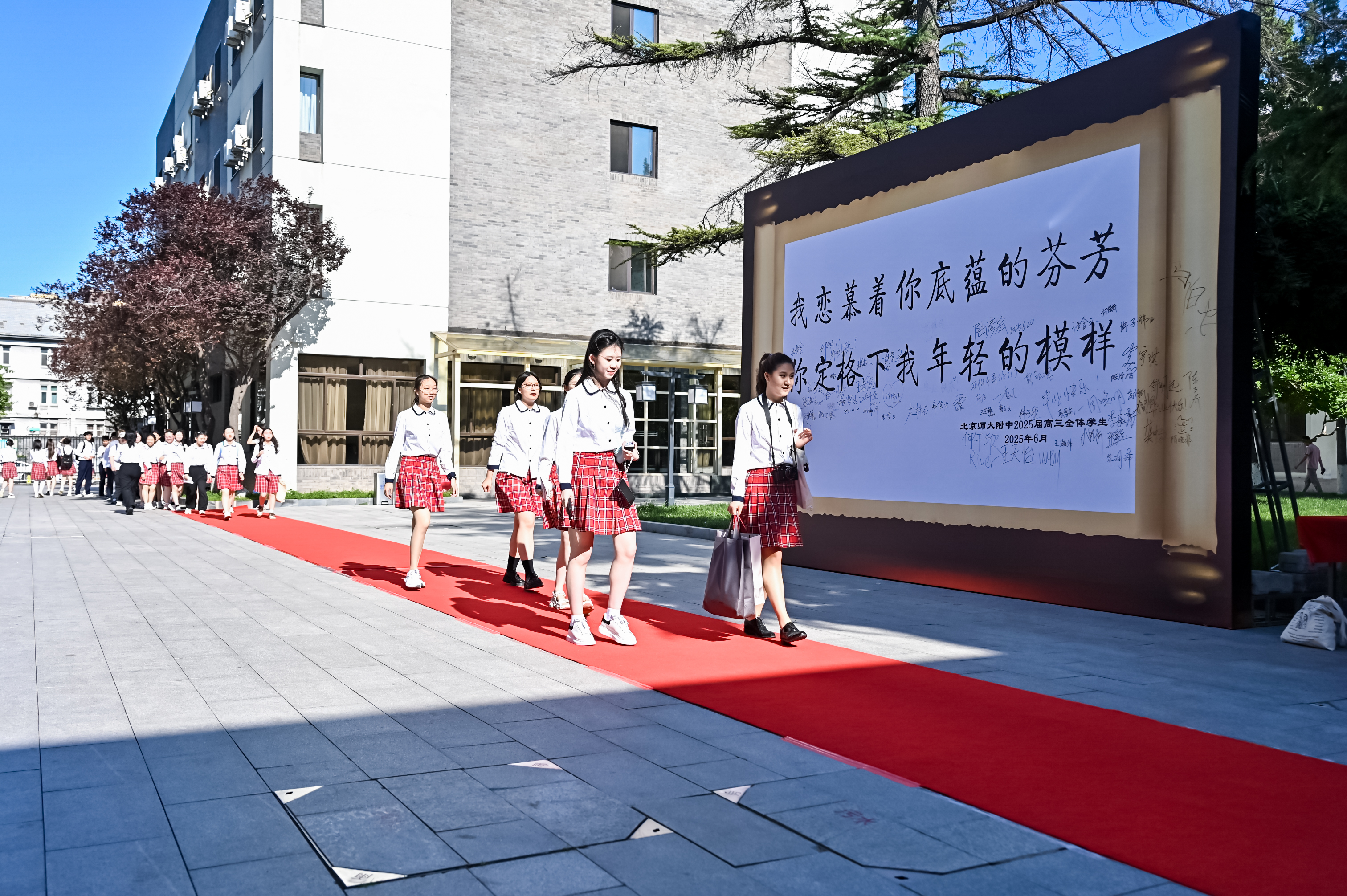 20250702827320.jpg 走红毯.jpg